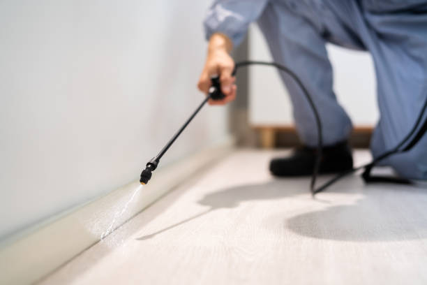 Licensed Fumigation Services service in Bayou Country Club, LA - Nex Pest Control