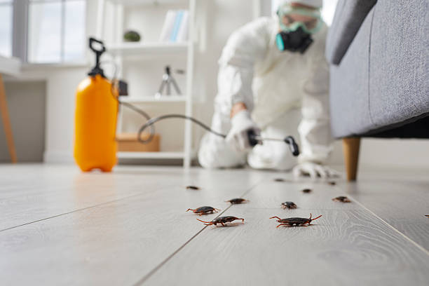 Trusted Fumigation Services service in Bayou Country Club, LA - Nex Pest Control